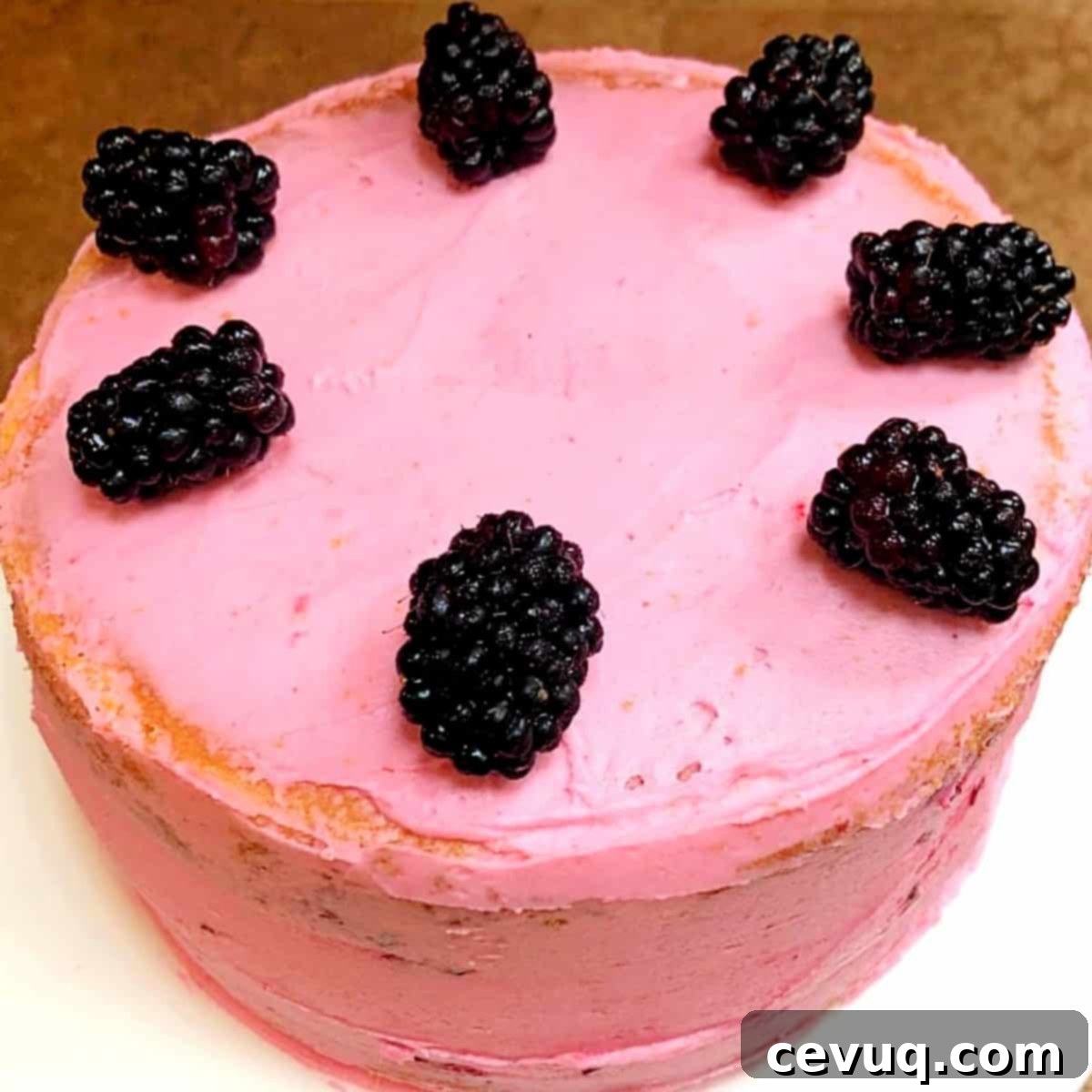 Ρουστίκ Τούρτα με Βατόμουρα 2 Τούρτα Marionberry με βουτυρόκρεμα marionberry και φρέσκα μούρα στην κορυφή.