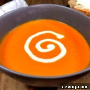 Σούπα Ντομάτας και Πορτοκαλιού 11 Σούπα ντομάτας και πορτοκαλιού με στροβιλισμό κρέμας