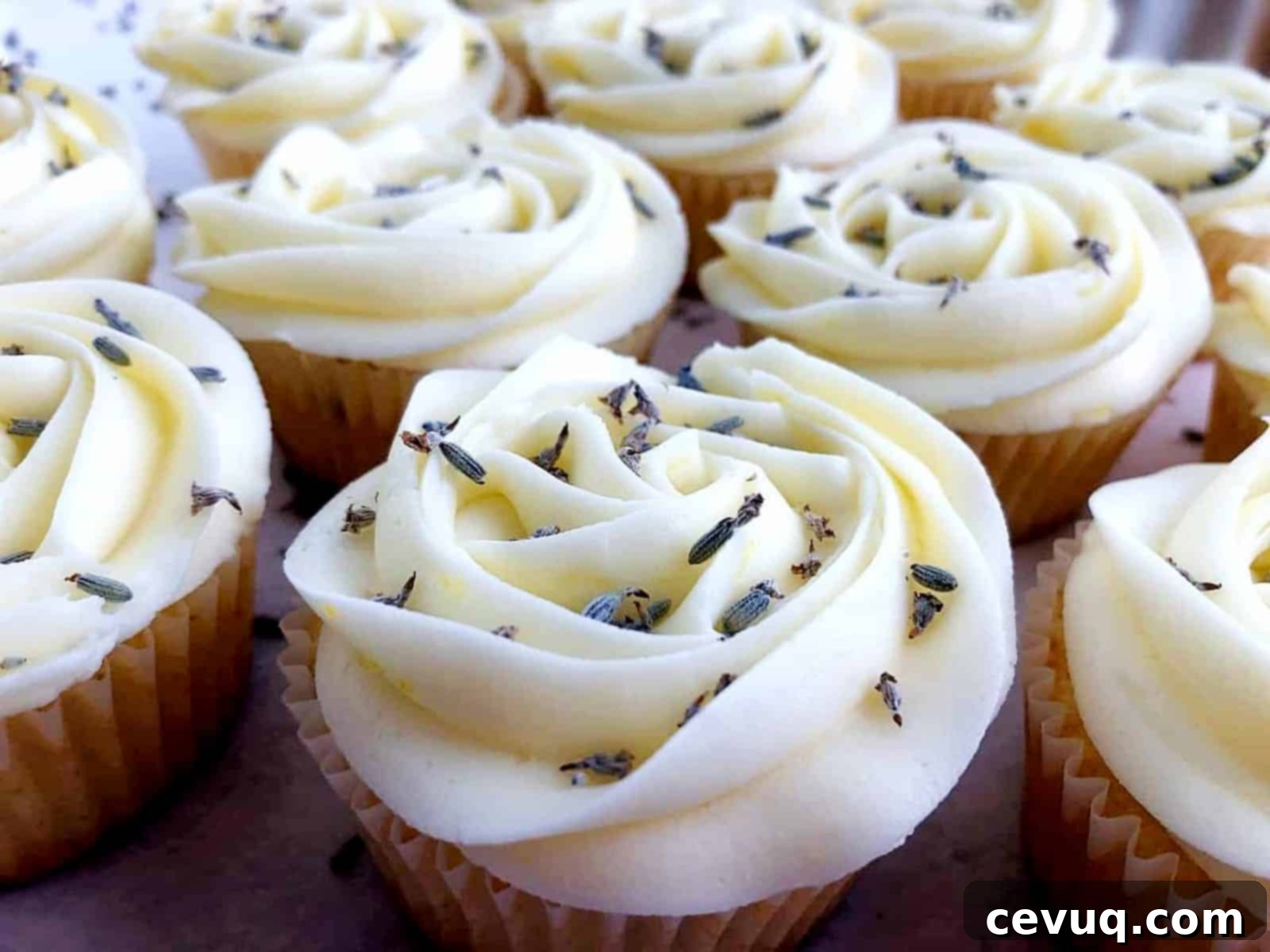 Λεμόνι Λεβάντα Κεκάκια 2 cupcakes λεμόνι λεβάντα