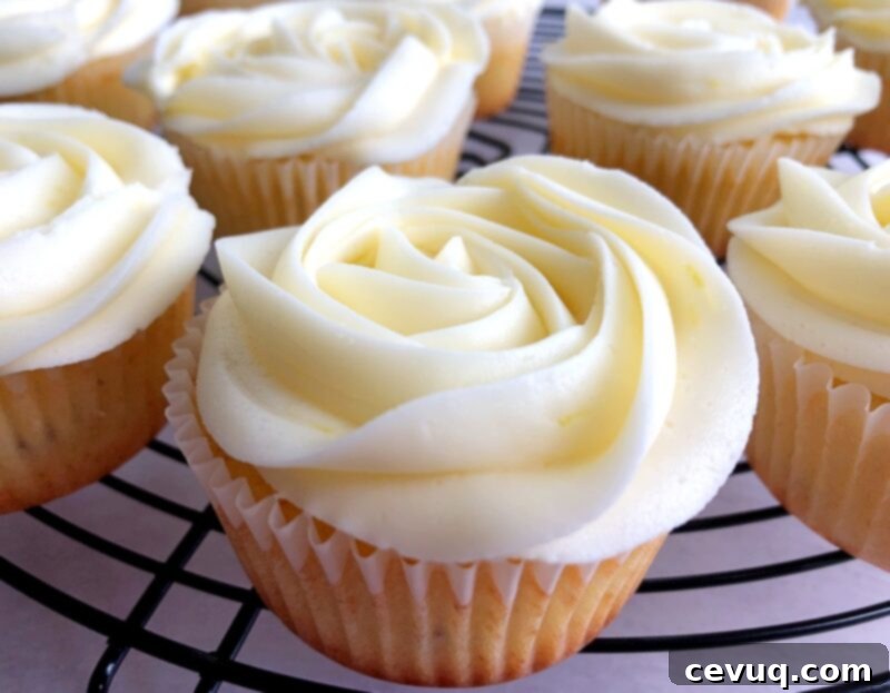 Λεμόνι Λεβάντα Κεκάκια 12 cupcakes λεβάντας με κρέμα βουτύρου λεμονιού