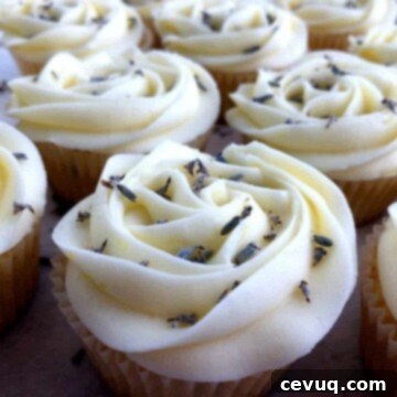 Λεμόνι Λεβάντα Κεκάκια 14 cupcakes λεμόνι λεβάντα