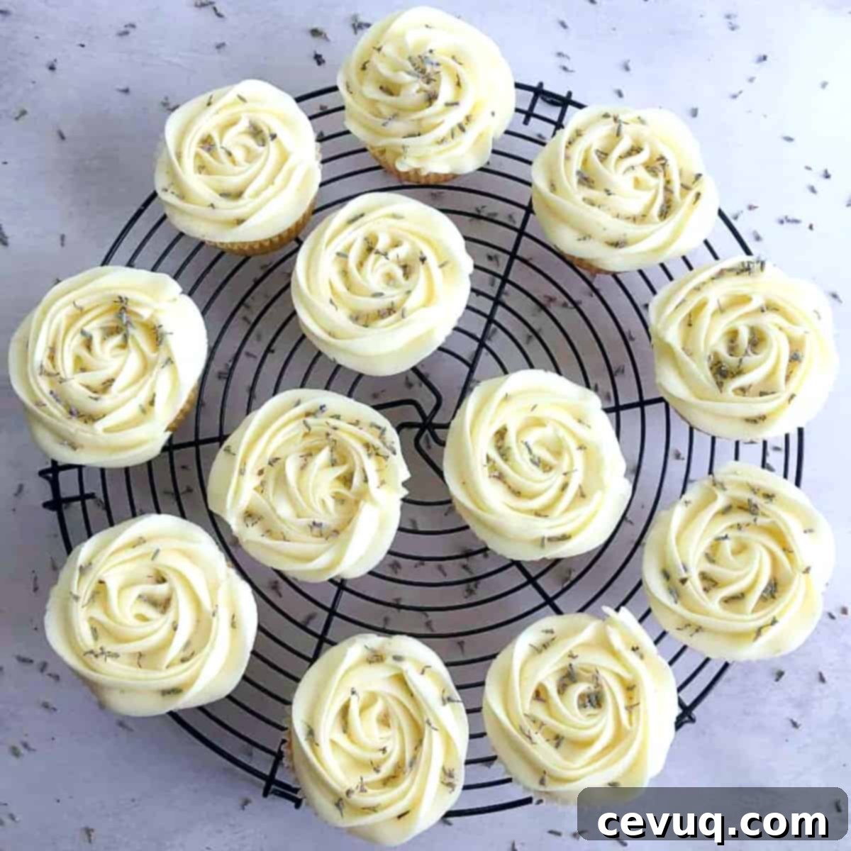Λεμόνι Λεβάντα Κεκάκια 3 cupcakes λεμόνι λεβάντα σε σχάρα ψύξης