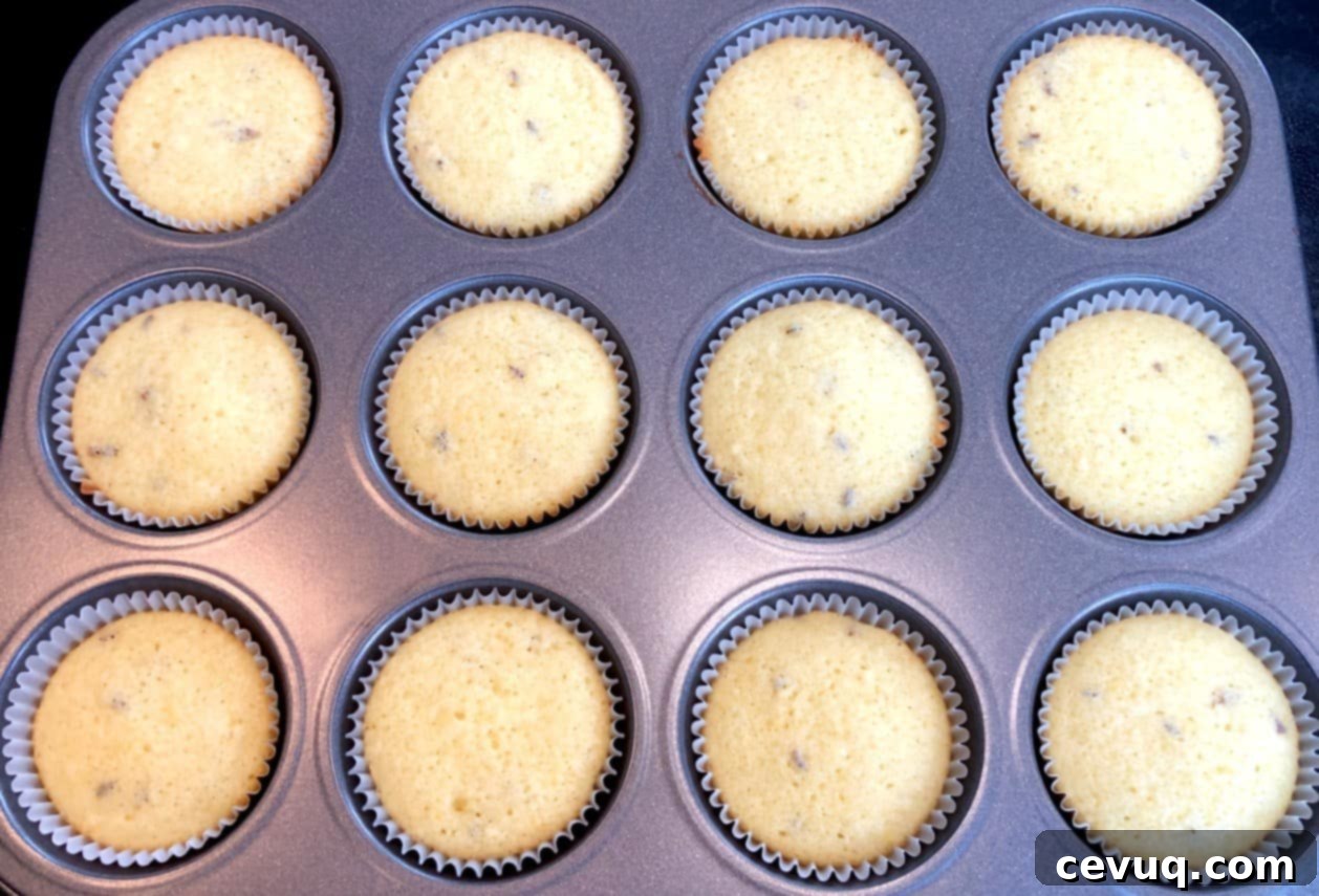 Λεμόνι Λεβάντα Κεκάκια 8 ψημένα cupcakes λεμόνι λεβάντα σε ταψί