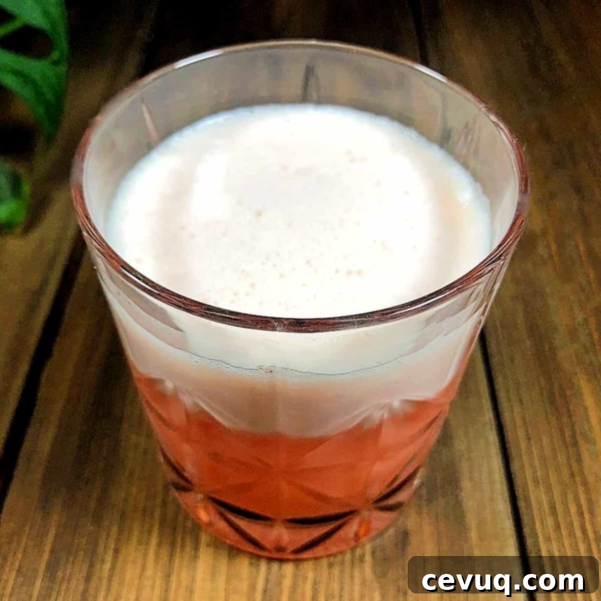 Σαγκουίνι Ουίσκι Σάουερ 3 Blood Orange Whiskey Sour με αφρό από ασπράδι αυγού.
