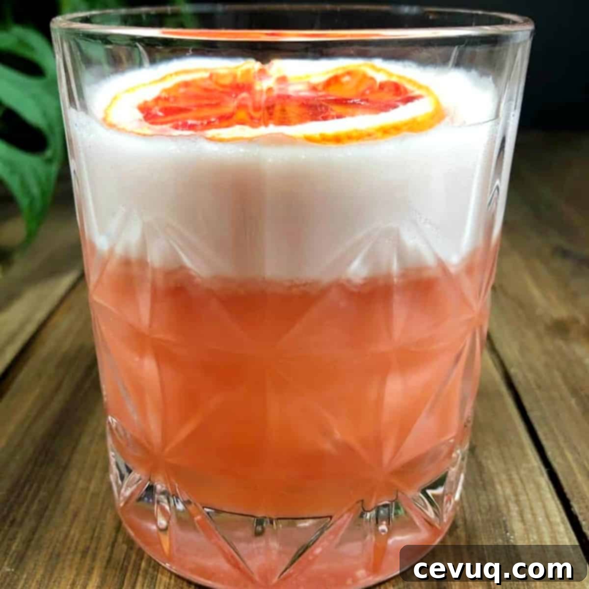 Σαγκουίνι Ουίσκι Σάουερ 4 Blood Orange Whiskey Sour με γαρνιτούρα μια φέτα από αίμα πορτοκάλι.