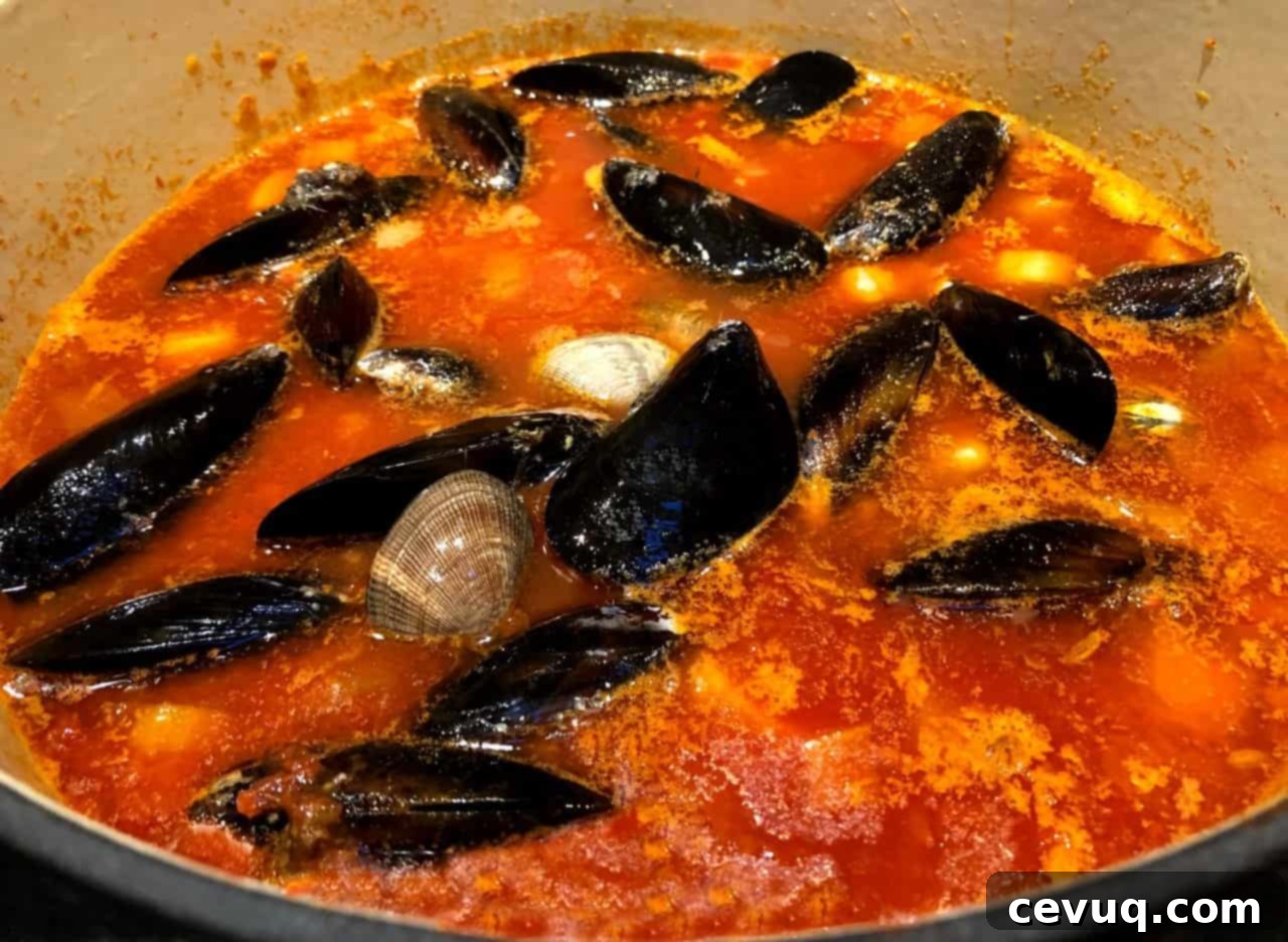 Εύκολη Σούπα Τσιοπίνο με Θαλασσινά 6 Cioppino σε κατσαρόλα με θαλασσινά
