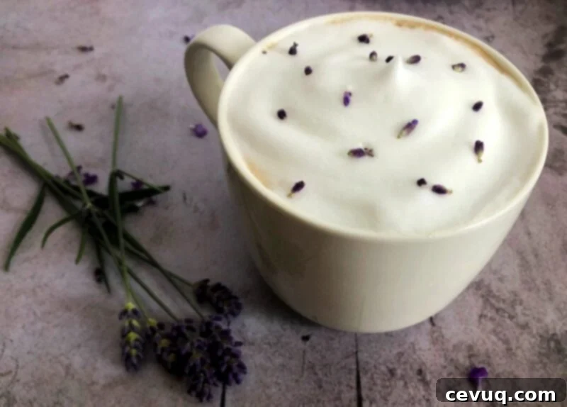 Νέκταρ Λεβάντας 6 lavender latte with fresh lavender in foam.