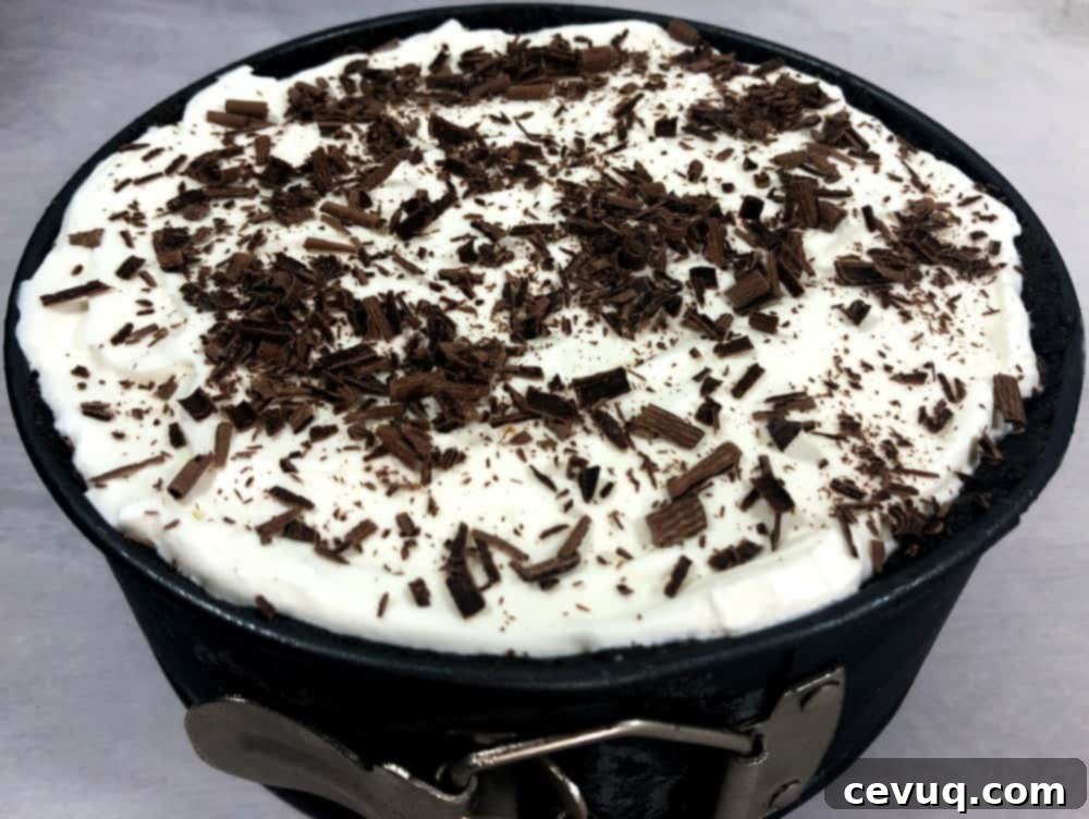 Παγωτοτάρτα Όρεο Μέντα 11 Παγωτοτούρτα Oreo μέντας με ξύσμα σοκολάτας από πάνω.