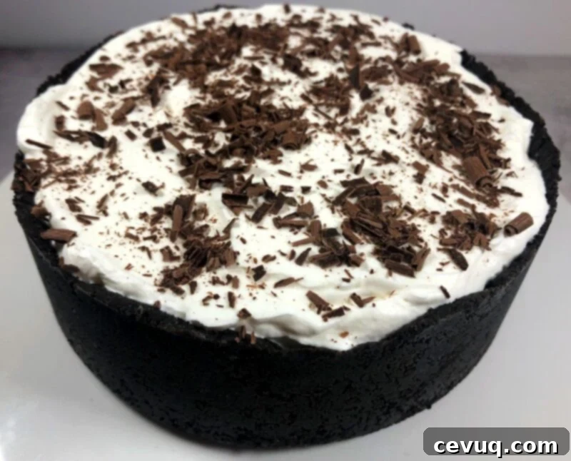 Παγωτοτάρτα Όρεο Μέντα 3 Βάση Oreo παγωτοτούρτας μέντας σε ταψί με ξύσμα σοκολάτας από πάνω