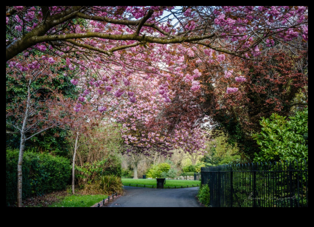 Fleeting Flowers: Mastering Techniques for Capturing the Transient Beauty of Blooms