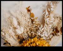 Φευγαλέα λουλούδια Ένας οδηγός για την αποτύπωση της παροδικής ομορφιάς των ανθισμάτων