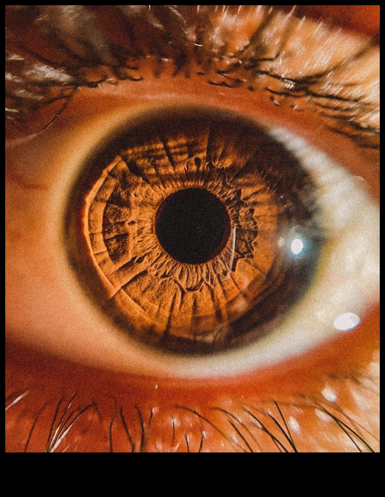 Περίπλοκες προοπτικές: Κατακτώντας τη λεπτή τέχνη της μακρο φωτογραφίας