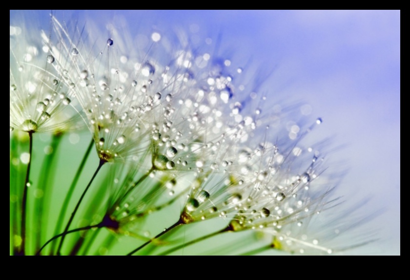 Περίπλοκες προοπτικές: Κατακτώντας τη λεπτή τέχνη της μακρο φωτογραφίας