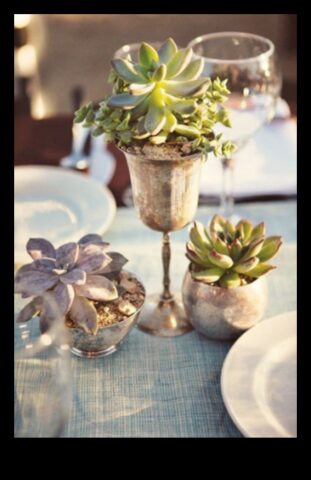 10 Μινιμαλιστικές Ιδέες για Χυμώδεις Διακοσμήσεις για το Σπίτι σας