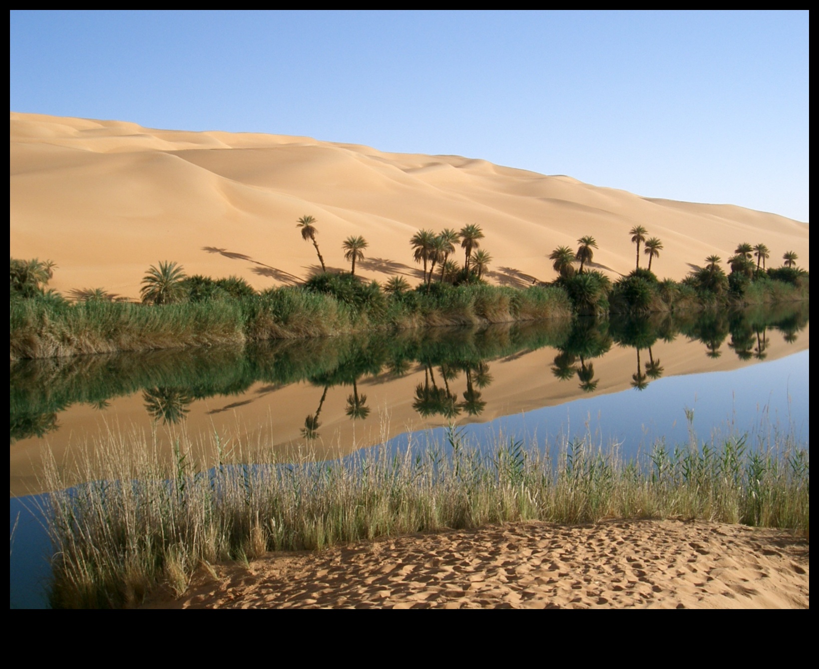 Desert Oasis Decor για ένα ήρεμο σπίτι