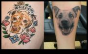 Furry Friends Chronicles που αποκαλύφθηκαν στο Wildlife Tattoo AdventuresΜια συγκινητική ματιά στον δεσμό μεταξύ ανθρώπων και ζώων, μέσα από το φακό της εκπληκτικής τέχνης τατουάζ άγριας φύσης.