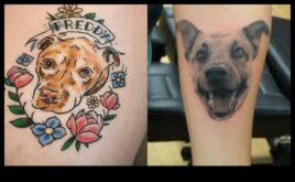 Furry Friends Chronicles που αποκαλύφθηκαν στο Wildlife Tattoo AdventuresΜια συγκινητική ματιά στον δεσμό μεταξύ ανθρώπων και ζώων, μέσα από το φακό της εκπληκτικής τέχνης τατουάζ άγριας φύσης.