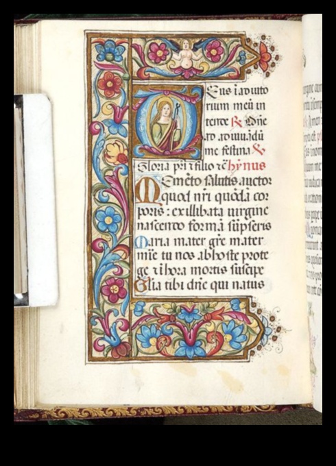 Script and Scroll: The Art of Calligraphy in Renaissance χειρόγραφα