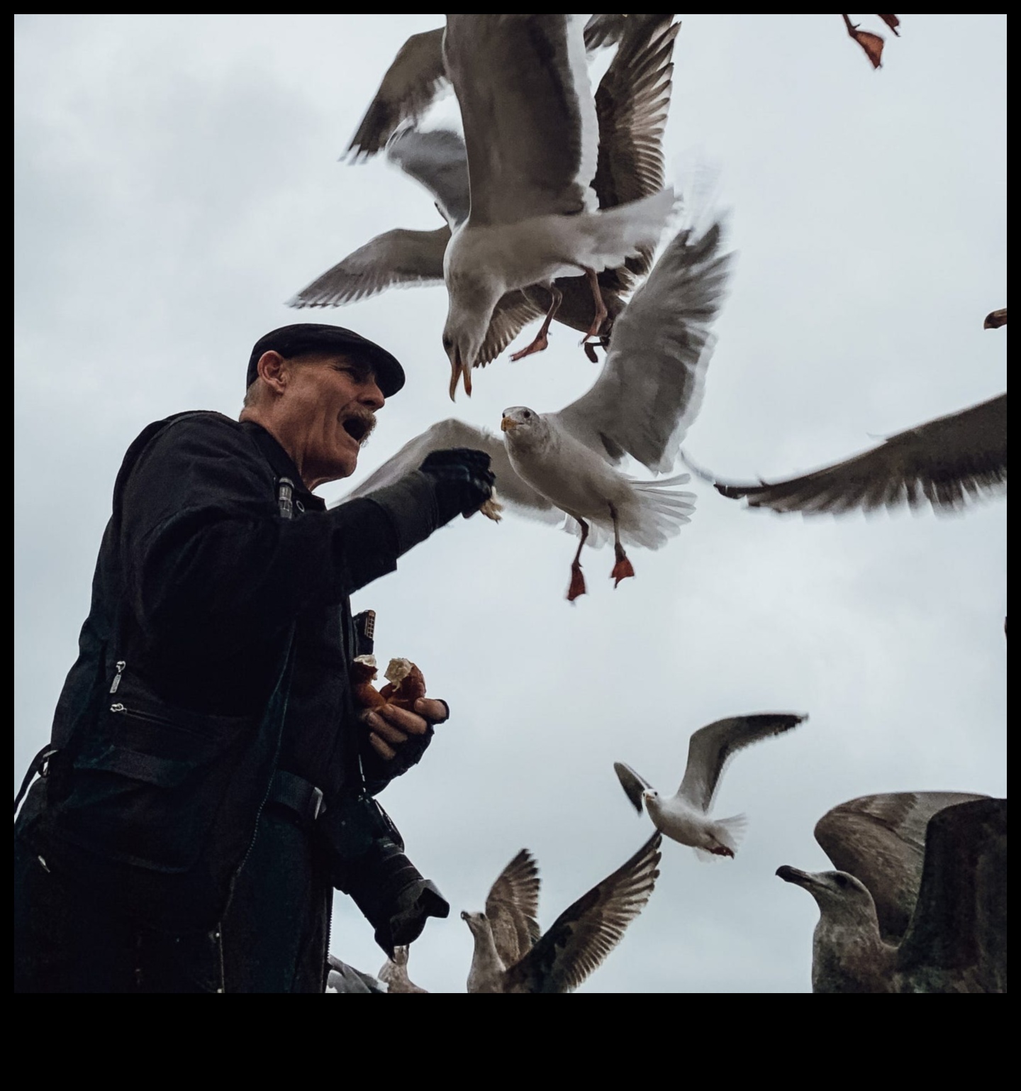 Wildlife Wonders: Capturing Nature's Majesty with Animal Photography Styles