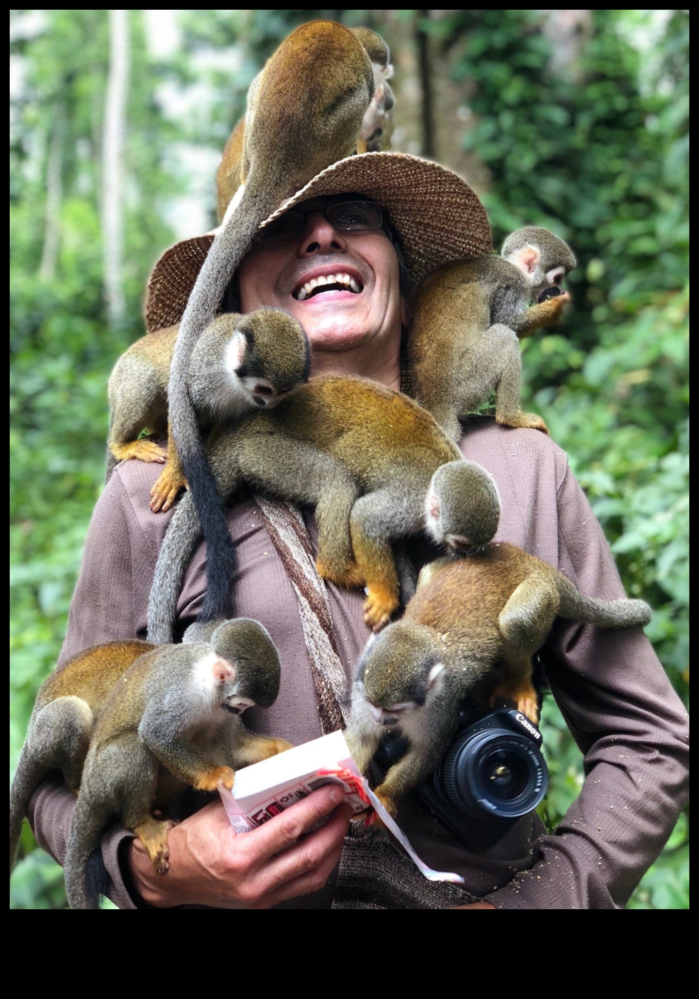 Wildlife Wonders: Capturing Nature's Majesty with Animal Photography Styles
