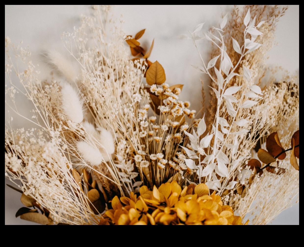 Fleeting Flowers: Mastering Techniques for Capturing the Transient Beauty of Blooms