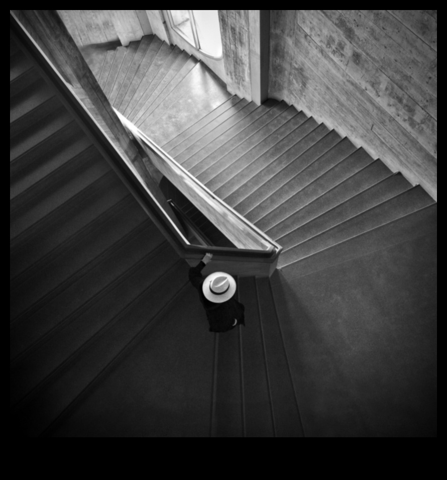 Αναλυτικά σχέδια: Δημιουργία Τέχνης Μέσα από την Αρχιτεκτονική Φωτογραφία