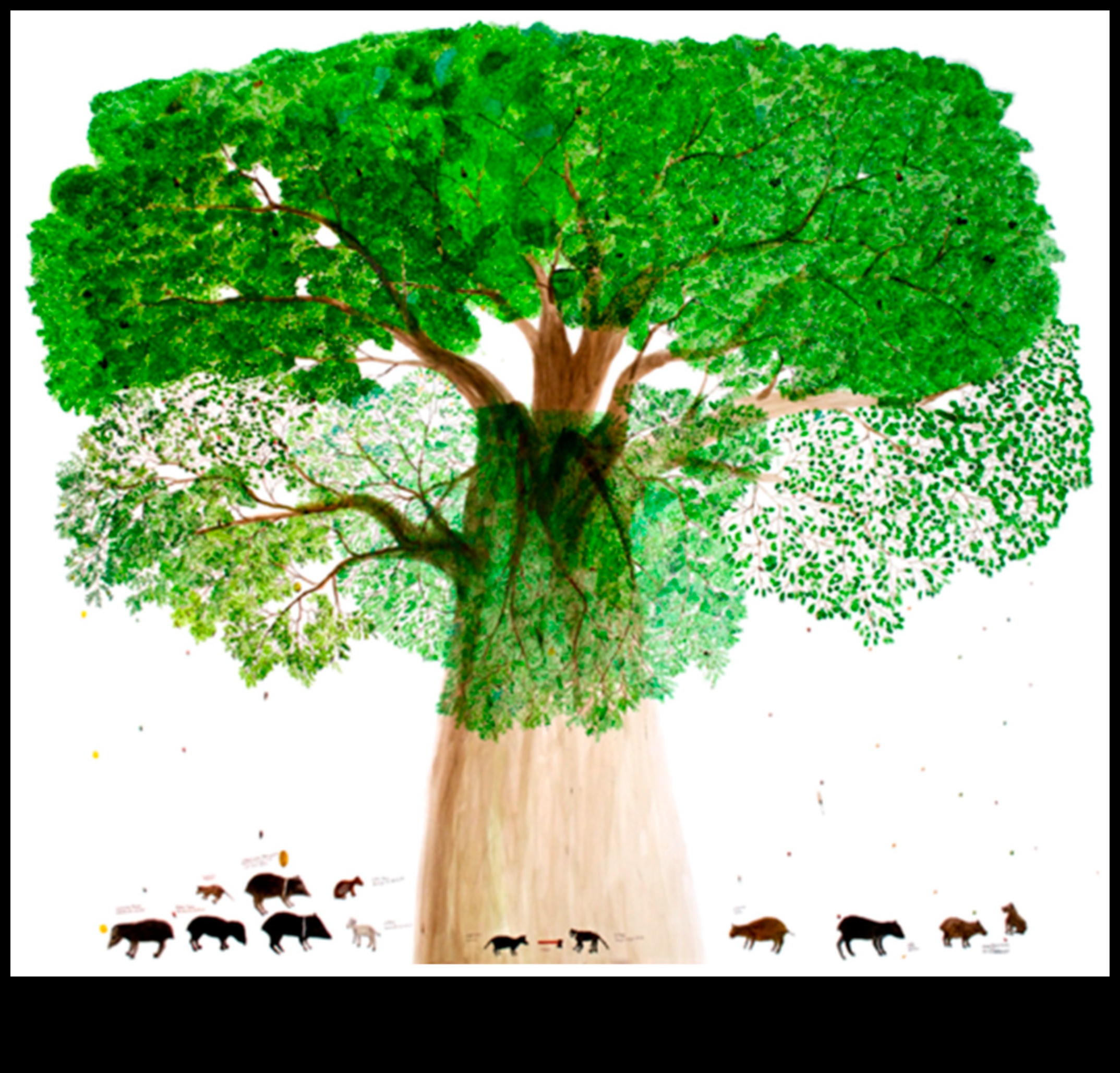 Land Art Legacies: Modern Art in the Natural World