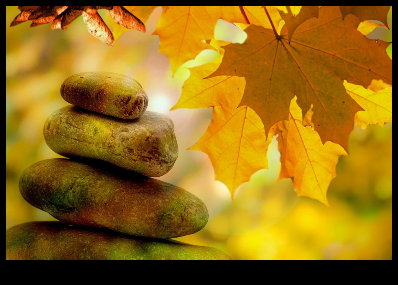 Zenful Living: Living in the Flow of Mindful Stress Relief Techniques