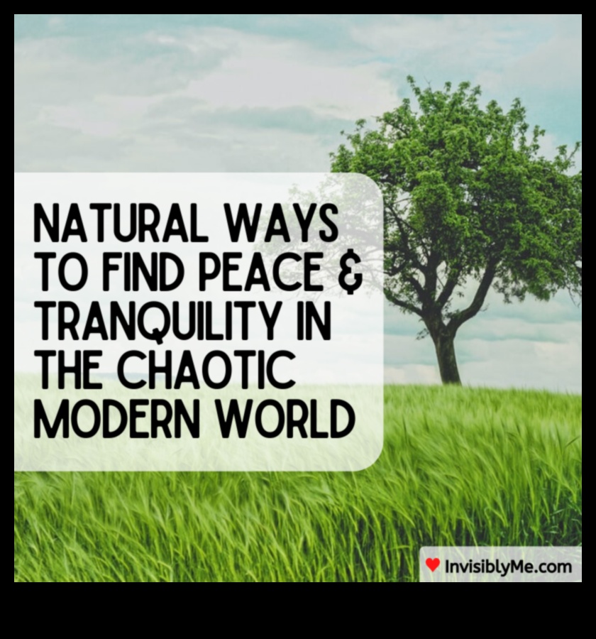 Zenful Living: Living in the Flow of Mindful Stress Relief Techniques