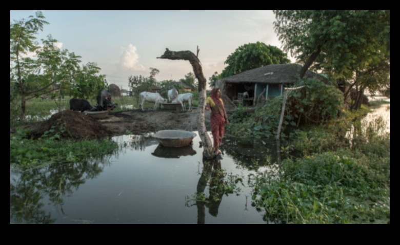Αγροτικές πραγματικότητες: Αποτυπώνοντας τη γοητεία της εξοχής στη φωτογραφία
