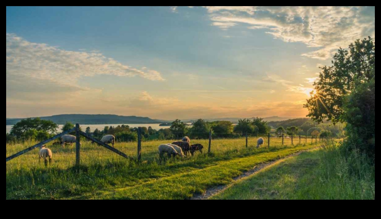 Αγροτικές πραγματικότητες: Αποτυπώνοντας τη γοητεία της εξοχής στη φωτογραφία