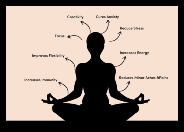 Wellness Unleashed: The Synergy of Meditation and Physical Health