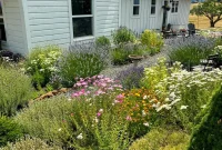4-Year-Old Herb & Flower Garden Tour with DIY Drip Watering System
