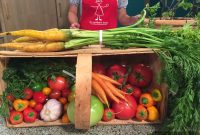 Maximize Your Home Garden: Tips from Indy Style Magazine