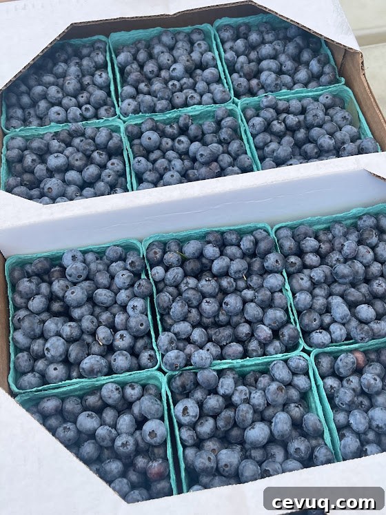 blueberries
