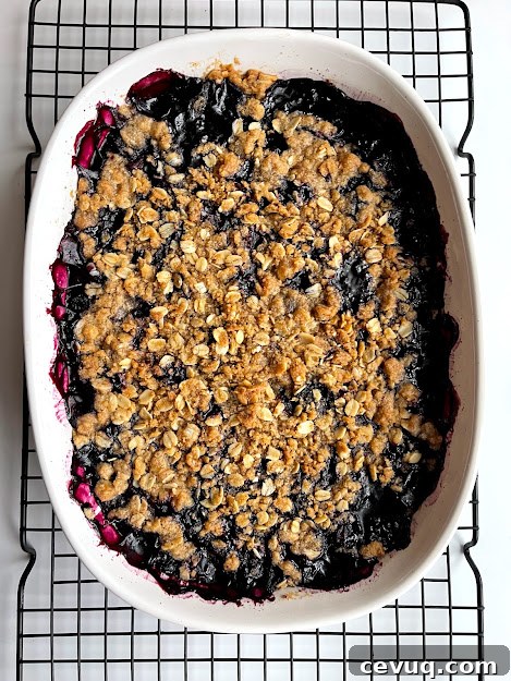 gluten-free crisp with peaches and blackberries