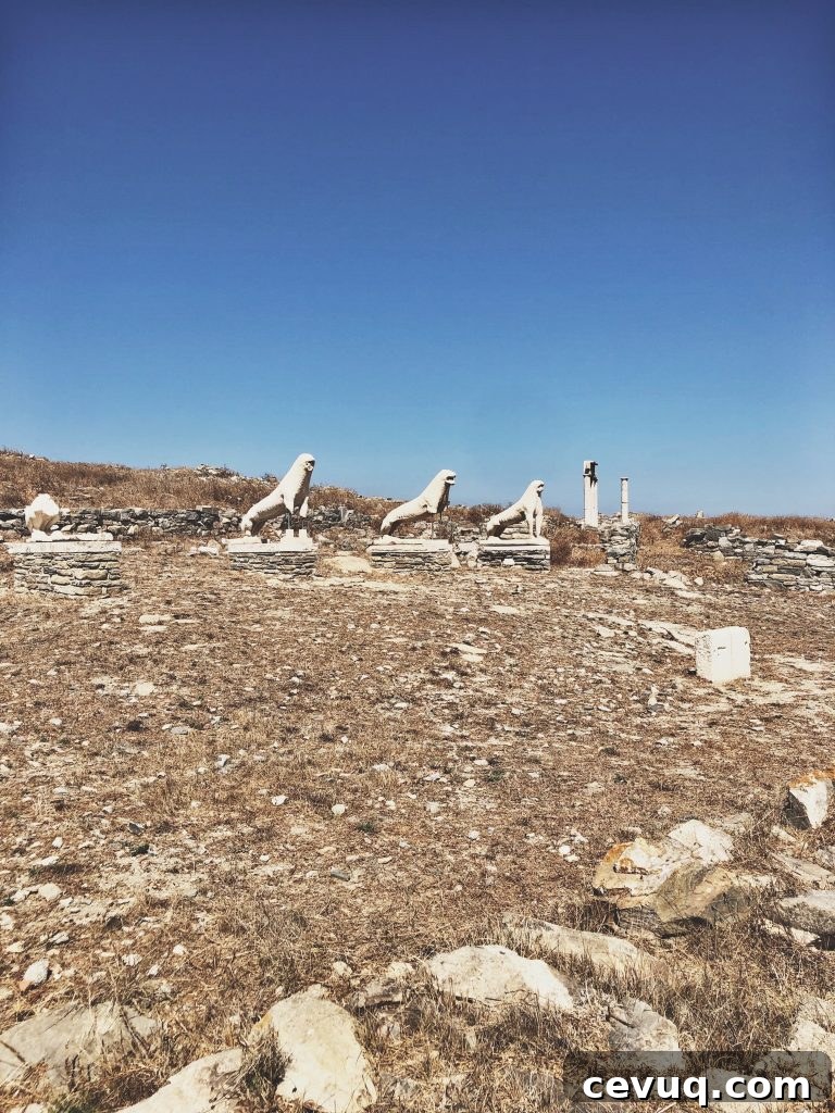 Greece Travel Photo Journal: Stunning Moments from My Trip 49 img 1025 48