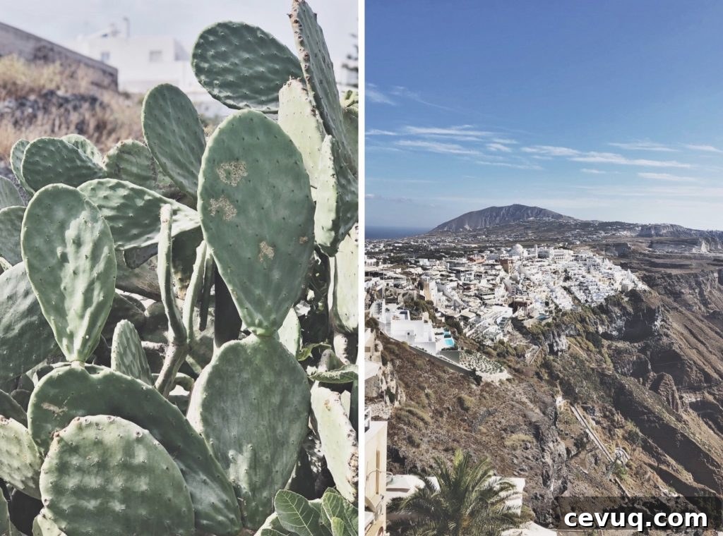 Greece Travel Photo Journal: Stunning Moments from My Trip 51 img 1025 50