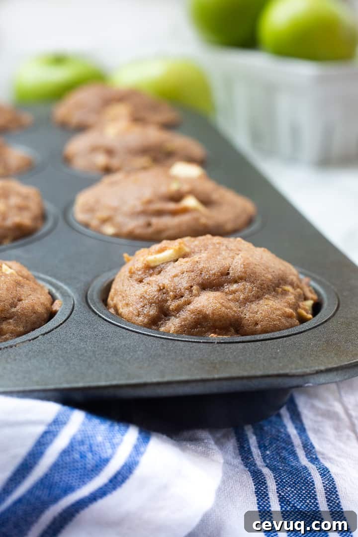 Healthy apple muffins