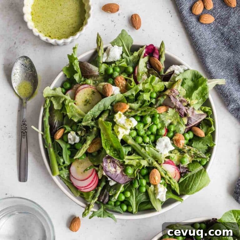 Spring salad served on a plate with dressing on the side.