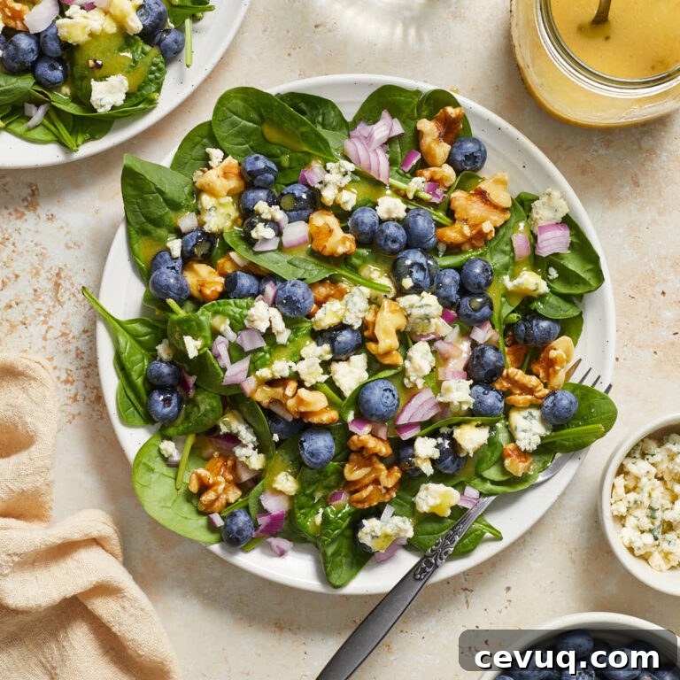 Blueberry spinach salad on a white plate with walnuts, red onion, blue cheese, blueberries and dijon dressing on top.