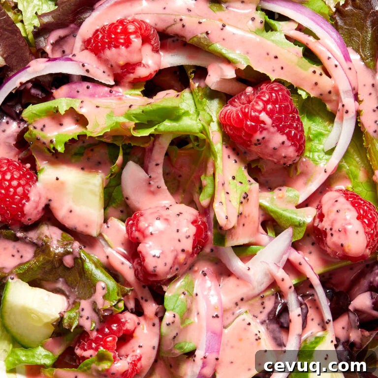 Close up view of raspberry poppy seed dressing drizzled over a salad with raspberries on top.