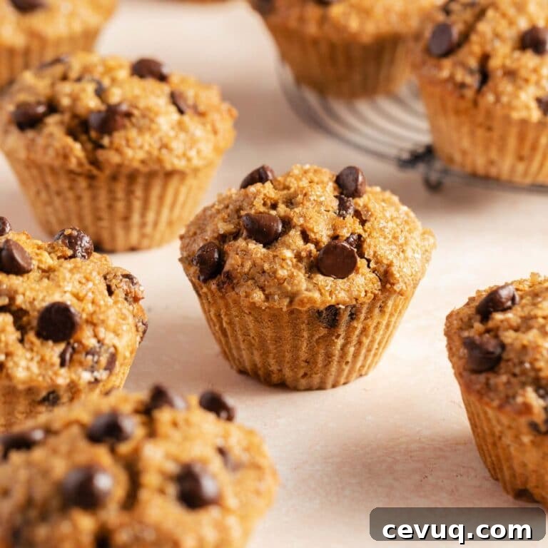 Air fryer muffins with chocolate chips arranged on a pink surface.
