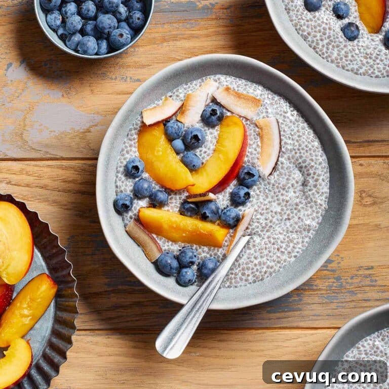 Oat milk chia pudding in a bowl with nectarine slices and blueberries on top.