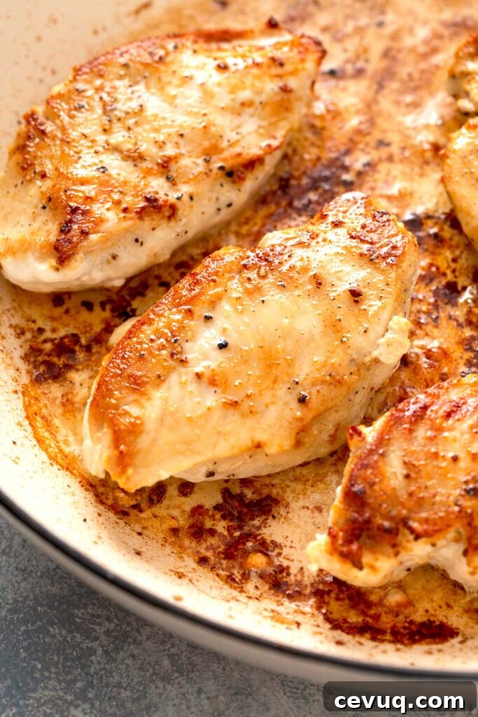 Creamy Sun-Dried Tomato Chicken with Garlic and Herbs 5 Golden brown seared boneless and skinless chicken breasts in a skillet.