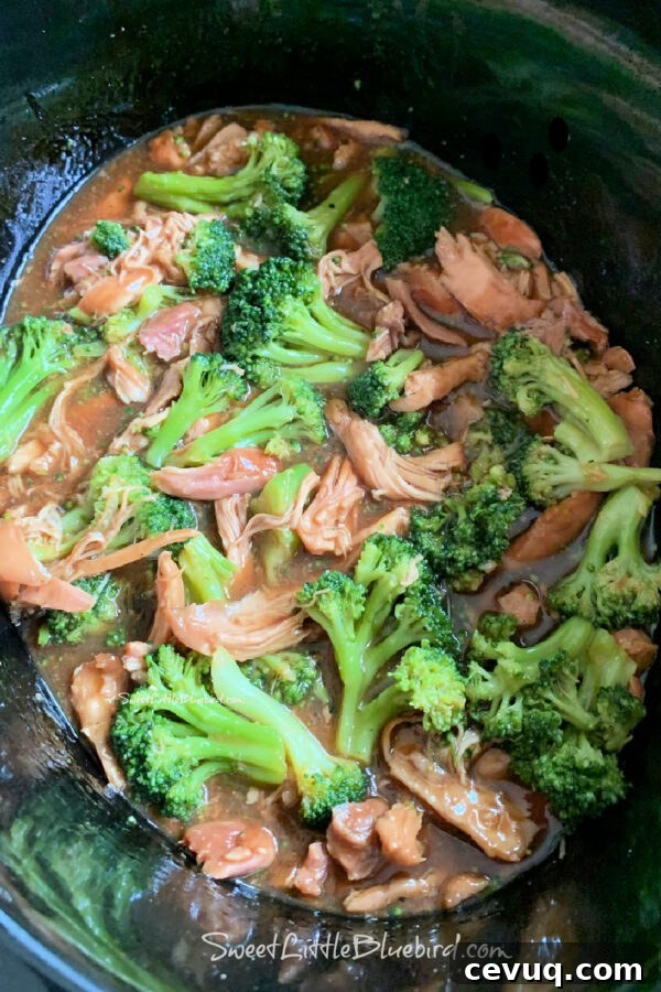 EASY SLOW COOKER TERIYAKI CHICKEN with Broccoli Added 