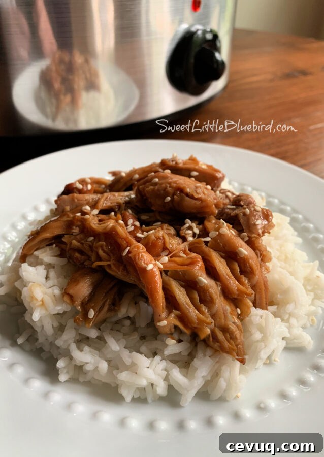 Easy Slow Cooker Teriyaki Chicken sprinkled with Sesame Seeds on Top