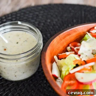 Italian Dressing 3Olive-Garden Italian Dressing