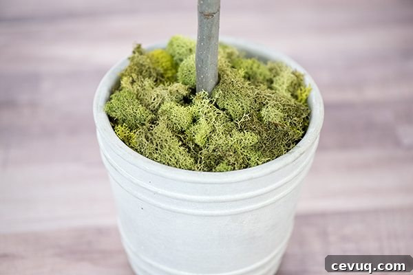 moss planter