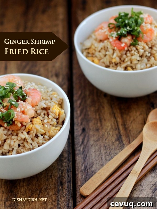 Ginger Shrimp Fried Rice